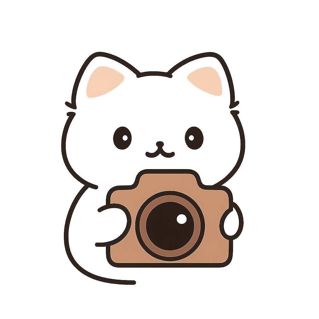 Máy ảnh sony a57 | Tiệm máy ảnh decor xinh