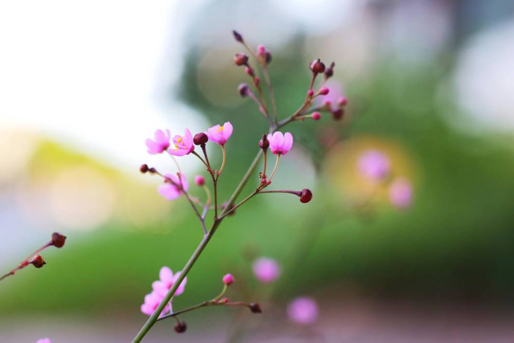 Bạn sẽ bất ngờ khi lần đầu nhìn thấy thế giới ở khoảng cách vài centimet